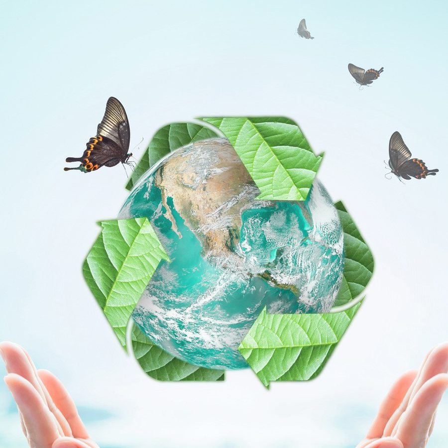 nachhaltige Welt